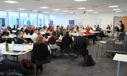 Social Care nursing advisory council meeting 2025